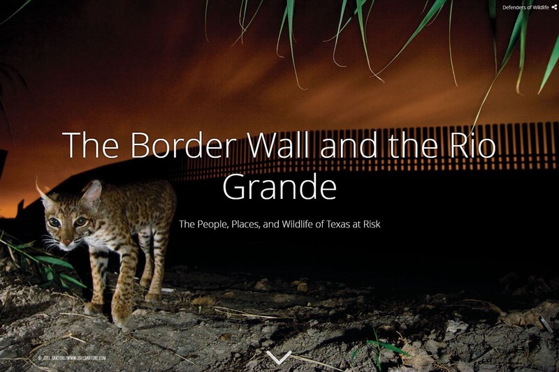 The Border Wall and the Rio Grande