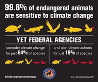 Agency plans are inadequate to conserve US endangered species under climate change image.