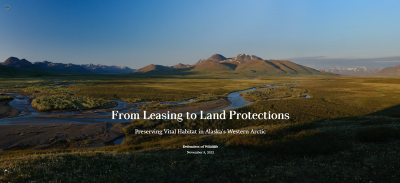 From Leasing to Land Protections