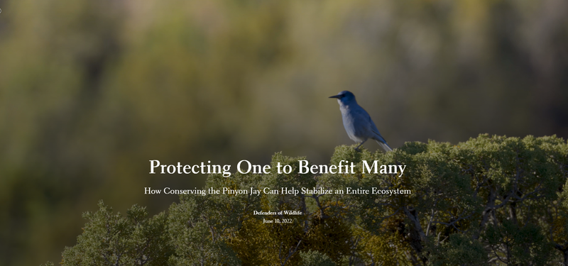 Protecting One to Benefit Many