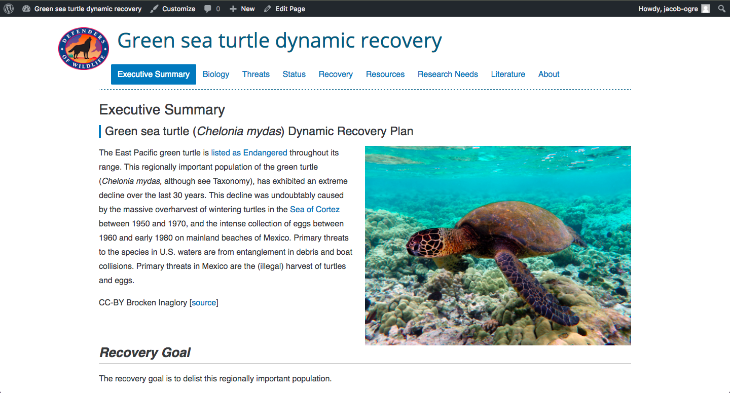 WordPress recovery plan