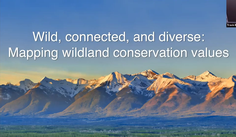Wild, Connected, and Diverse: Mapping Conservation Values and Climate Adaptation Strategies