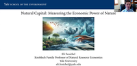 Natural Capital - Measuring the Economic Power of Nature image.