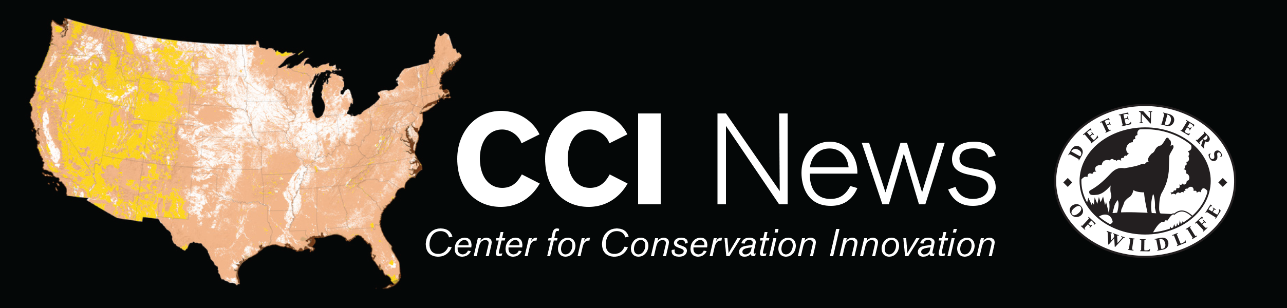 The CCI News newsletter banner.