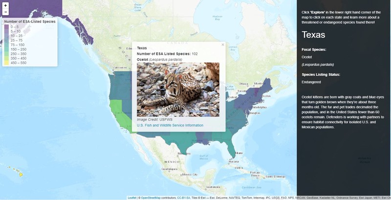 Protecting Wildlife, One Map at a Time