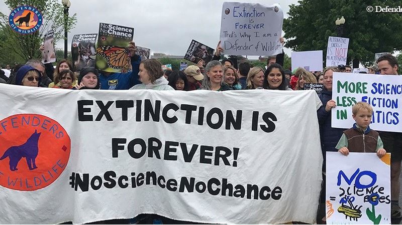 Why I March for Science