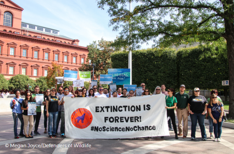 Youth Climate Movement Brings New Focus to the Climate Crisis