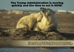 Arctic National Wildlife Refuge: The People and Wildlife of the Coastal Plain