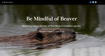 Be Mindful of Beaver