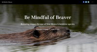 Be Mindful of Beaver image.