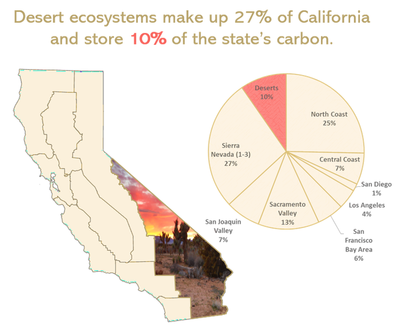 Climate Mitigation in California: The Importance of Conserving Carbon in Deserts