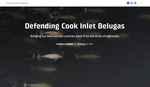 Defending Cook Inlet Belugas