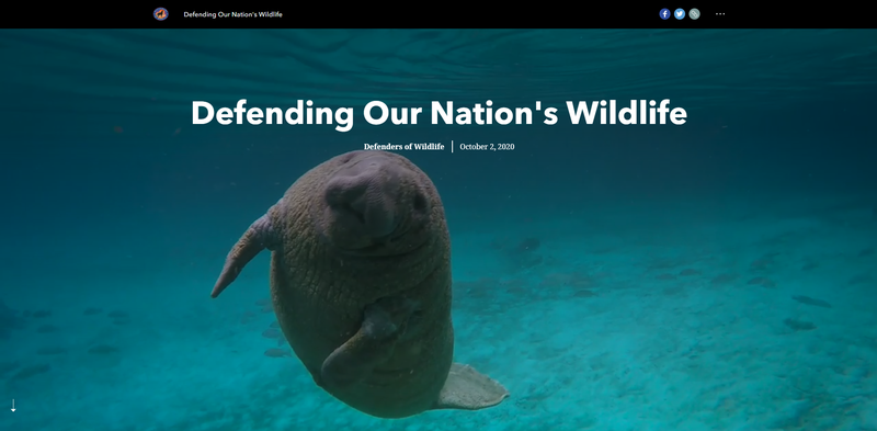 Defending Our Nation's Wildlife