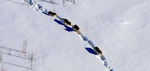 Braiding Indigenous Traditional Ecological Knowledge and the Implementation of the Endangered Species Act