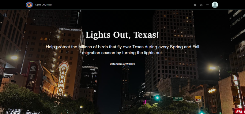 Lights Out, Texas!