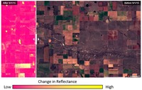 Monitoring Habitat Loss for Endangered Species Using Satellite Data image.