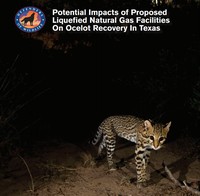 Potential Impacts of Proposed Liquefied Natural Gas Facilities On Ocelot Recovery in Texas image.
