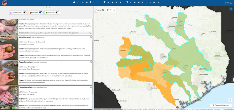 Aquatic Texas Treasures