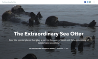 The Extraordinary Sea Otter image.