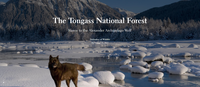 The Tongass National Forest image.