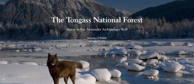 The Tongass National Forest