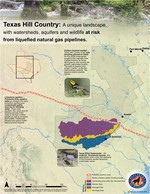Golden cheeked warbler at risk from liquefied natural gas pipelines in Texas Hill Country