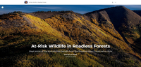 At-Risk Wildlife in Roadless Forests image.