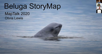 Cook Inlet Beluga StoryMap image.