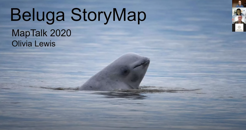 Cook Inlet Beluga StoryMap
