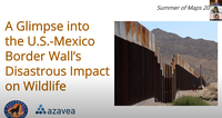A Glimpse into the U.S.-Mexico Border Wall's Disastrous Impact on Wildlife  image.