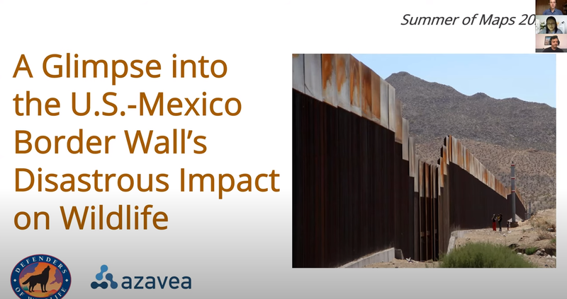 A Glimpse into the U.S.-Mexico Border Wall's Disastrous Impact on Wildlife 