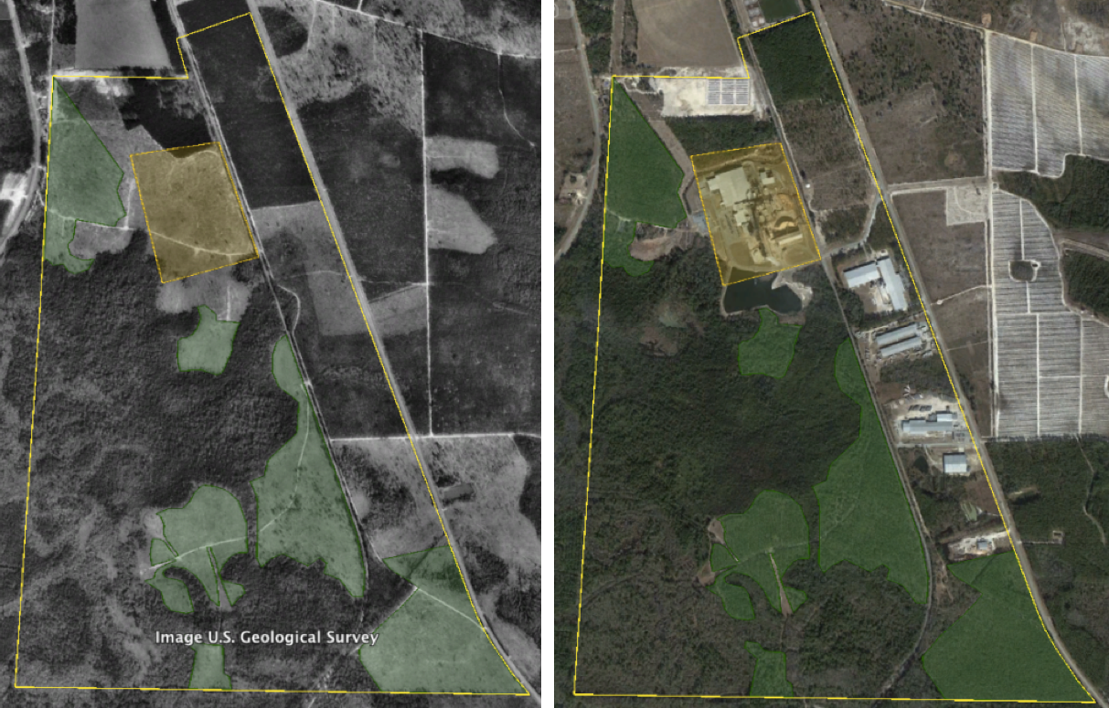 Just over 150 acres of pasture on the Langboard property (green polygons) transitioned to forested habitats between 1993 (left) and 2014 (right).